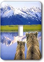 3dRose Brown Bears, Ursus Arctos, Alaska, Digital Composite-Single Toggle Switch (LSP_314538_1), Var