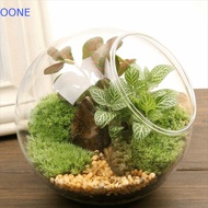 OONE Borosilicate Glass Vase, Transparent Clear Clear Glass Ball Vase, Flower Pot 8/10/12/16cm Obliq