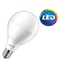Philips 19w LED Bulb E27
