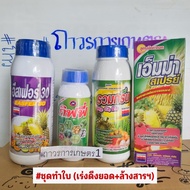 ชุดทำใบ(ปุ๋ยอีสท์30-0-0กิฟฟี่รวมกรีนเอ็มม่าสเปรย์)ชุดเร่งต้นเร่งใบ 5กก.