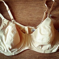 Ellen tracy bra's