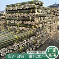 Fence Pole Simple Bamboo Pole Greenhouse Vegetable Bamboo Dry Vine Rack Thin Bamboo Pole Outdoor Gra