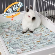 Dayang 81 Rabbit Cage Mat R81PRO Four Seasons Pet Guinea Pig My Neighbor Totoro Floor Washable Suppl