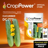 (10 GRAM) Biji Benih Timun Black Steel 铁金刚 DC777 CROP POWER F1 Hybrid Cucumber Seeds 黄瓜种子 DC 777