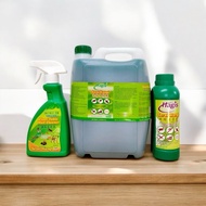 Serai Wangi（1 Order 1 Set）West Malaysia
