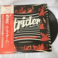 Misunderstood-Strider 12 Inch LP Vinyl Record K662