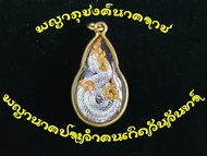 พญาภุชงค์นาคราช เหรียญประจำคนเกิดวันจันทร์ เสริมเมตตา วาสนาได้ครอบครอง