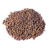 Cover Crop Seeds / Benih Pelitup Bumi / Kacang Penutup Bumi - PJ 1kg/500gm