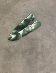 BLR 觀葉植物 造型萬用墊C4 龜背芋 蔓綠絨 彩葉芋