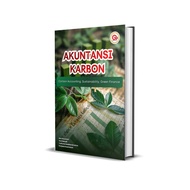 Carbon accounting: carbon accounting, sustainability, green finance