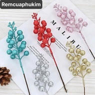 Glitter fig branches, round fruits to make laurel wreaths, decorate Christmas trees - RPK559