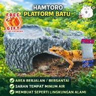 [FREE FOOD + SAND] Hamtoro Thick XL Stone Platform - Reptile Cage Accessories Gecko & Lizard