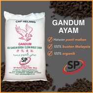 SP Berkat Gandum Ayam / Gandum Bersih / Gandum Biji (25KG)