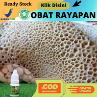 obat penghilang kaki rayapan kulit telapak kaki rayapan parah tumit pecah2 dan kering kapalan menghi