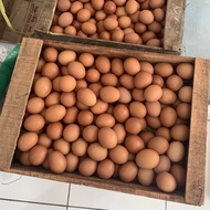 TELUR AYAM NEGERI FRESH 1 PETI 10KG