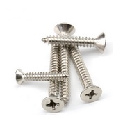 50 pieces of 410 Stainless Steel Wood Screws - Stainless Steel Pointed Screws