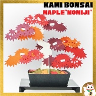 【Ship from Japan】DIY Kit Kami Bonsai Japanese Maple Momiji Paper Bonsai Paper Craft Mini Bonsai Kit 