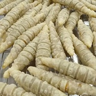 SARDIN ROLL FROZEN (INTI PENUH)