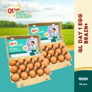 QL Brain+  Day 1 Egg - Medium 30pcs Fresh Egg Farm Fresh Egg Telur Segar