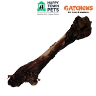 Gatchews Kangaroo Femur Bone | Dog Chews | Dog Treat | Single Ingredient | Natural | Australia
