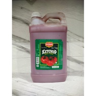 TOMATO SAUCE DELMONTE CHILI SAUCE/ 5KG