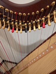 Salvi Ana Deluxe harp