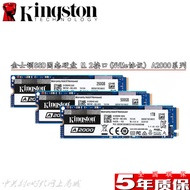 Kingston金士頓 1TB 500G 250G SSD固態硬盤 M.2(NVMe協議)A2000