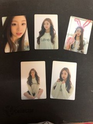 Lovelyz Jisoo 成員小卡 官方Fanclub小卡