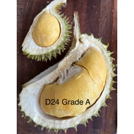 (klang valley ) Fresh Durian Pulps D24 600gm