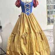 Disney Disney Adult Costume Female Snow White Dress Elsa Anna Cinderella Sleeping Beauty Peach Merma