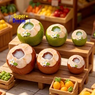 <Dream-t> 3D Simulated Coconut Juice Resin Decor 6Pcs Mini Green Brown Ornaments for DIY Keychain Do