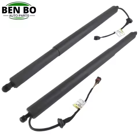 RH/LH OEM 81841-S8100 81841S8100 81831-S8100 81831S8100 Shock Absorber Electric Tailgate Support Rod