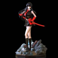 Camp Studio - Akame Akame ga Kill Resin Statue GK Anime Figure