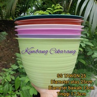 (1pc) SS TAWON 25 (25cm): wasp-shaped flower pot, beautiful pot