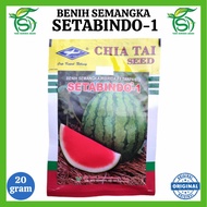 Benih Semangka SETABINDO-1 20 Gram - Bibit Non Biji Cap Kapal Terbang