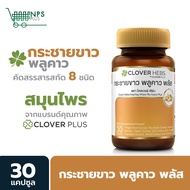 Clover Hebs กระชายขาว พลูคาว พลัส  1 กระปุก (30แคปซูล) จากผู้ผลิตอาหารเสริมคุณภาพ clover plus