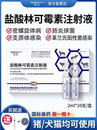 Injeksyon Hydrochloric acid comycin para hayop ng mga aso, gamot sa nasal branch cold medicine, ubo 