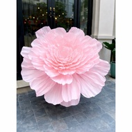 2M Giant Confetti Event Decoration Wedding Party Event Back Drop
