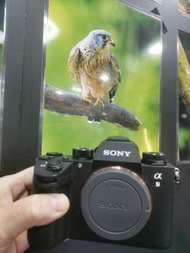 極新淨 Sony A9 ILCE-9  收購各類型相機及鏡頭，價錢合理 welcome trade in camera and lens