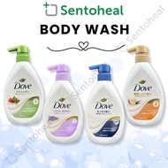 Dove Body Wash Premium Moisture Care - Japan market version made in Japan
