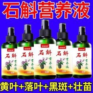 【有機肥】【花肥】石斛肥料 專用肥 鐵皮石斛石斛蘭防黃葉落葉催花促苞生根壯苗營養液