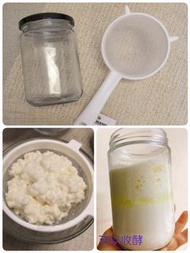 Milk Kefir Grains Set / 奶克菲爾菌株 (套裝) /肥肥白白 /超級益生菌 / Kefir Baby (不用到處找工具 / 可即時發酵)  $100/套