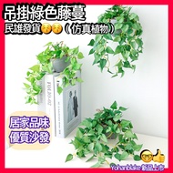 Super Cute Simulation Plant Green Dill Leaf Hanging Basket Red Palm Home Decoration Wall Small Fresh