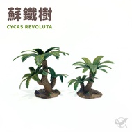 [Reptile Special Attack Team] 24 Hours Reptile Iron Tree Decoration|Reptile Landscaping|Gecko Landsc