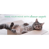 Pet Carpet Cleaner 400ml/ Pembersih Permaidani Haiwan Peliharaan 400ml/Pet Carpet Cleaner / Lemon Sc