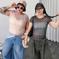 LULUS/PLUS/Medium Large Size/Contrast Color Coke Edge Full Version Cherry Translucent Top 3 Colors [