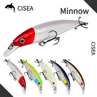 CISEA F1 9cm/11cm 2 Size Minnow Lure Set Glow in Dark Hard Bait Slow Sinking Saltwater Fishing Lure 