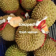 durian musang king malaysia segar utuh 1buah berat 2,4