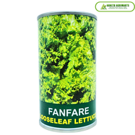 LOOSE LEAF LETTUCE FANFARE SEEDS CAN 100G BY CONDOR AND OTHER LETTUCE SEEDS BY KANEKO AND KNOWN YOU