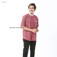 Aslan Shirt
